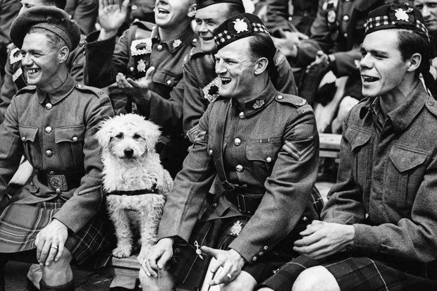 National Pet Day: 12 amazing war animals through history – in pictures -  HistoryExtra