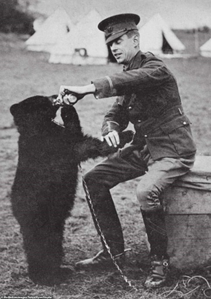 Animals that inspired Winnie The Pooh stories in remarkable photos from  World War One | Daily Mail Online
