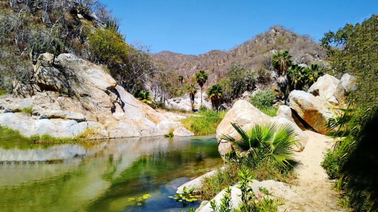 “Transformar” a México con una agenda ambiental sólida