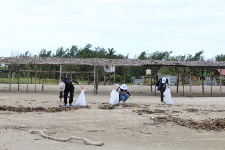 Jornada de limpieza en la playa de Tuxpan, Veracruz