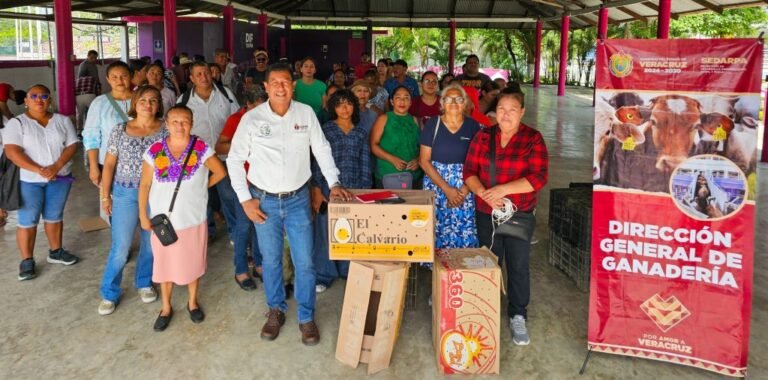 Se entregaron paquetes de pollitas ponedoras (aves de postura) a productores de Tuxpan