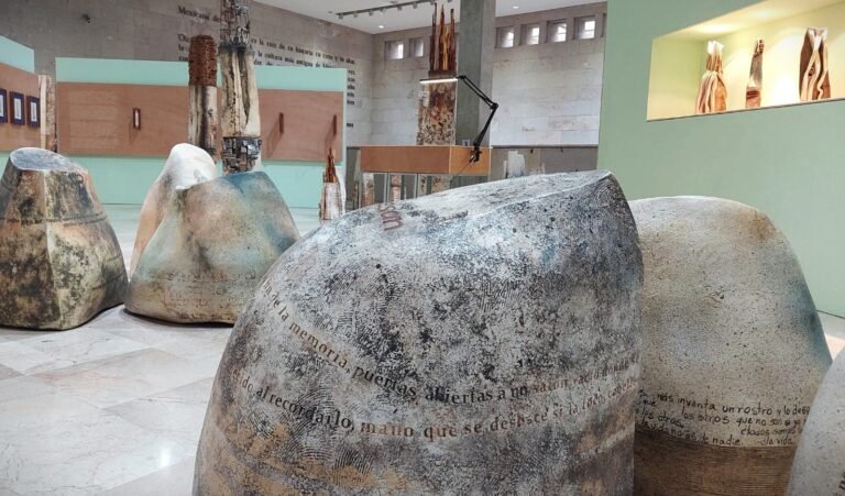 Cantos de Piedra: La obra de Roxana Cervantes en el Museo de Antropología de Xalapa